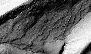 Grayscale image of LiDAR data for a small study area in Pennsylvania about 2 miles long by 1 mile wide.  Roads, fields, and wavy ridges are visible. 
